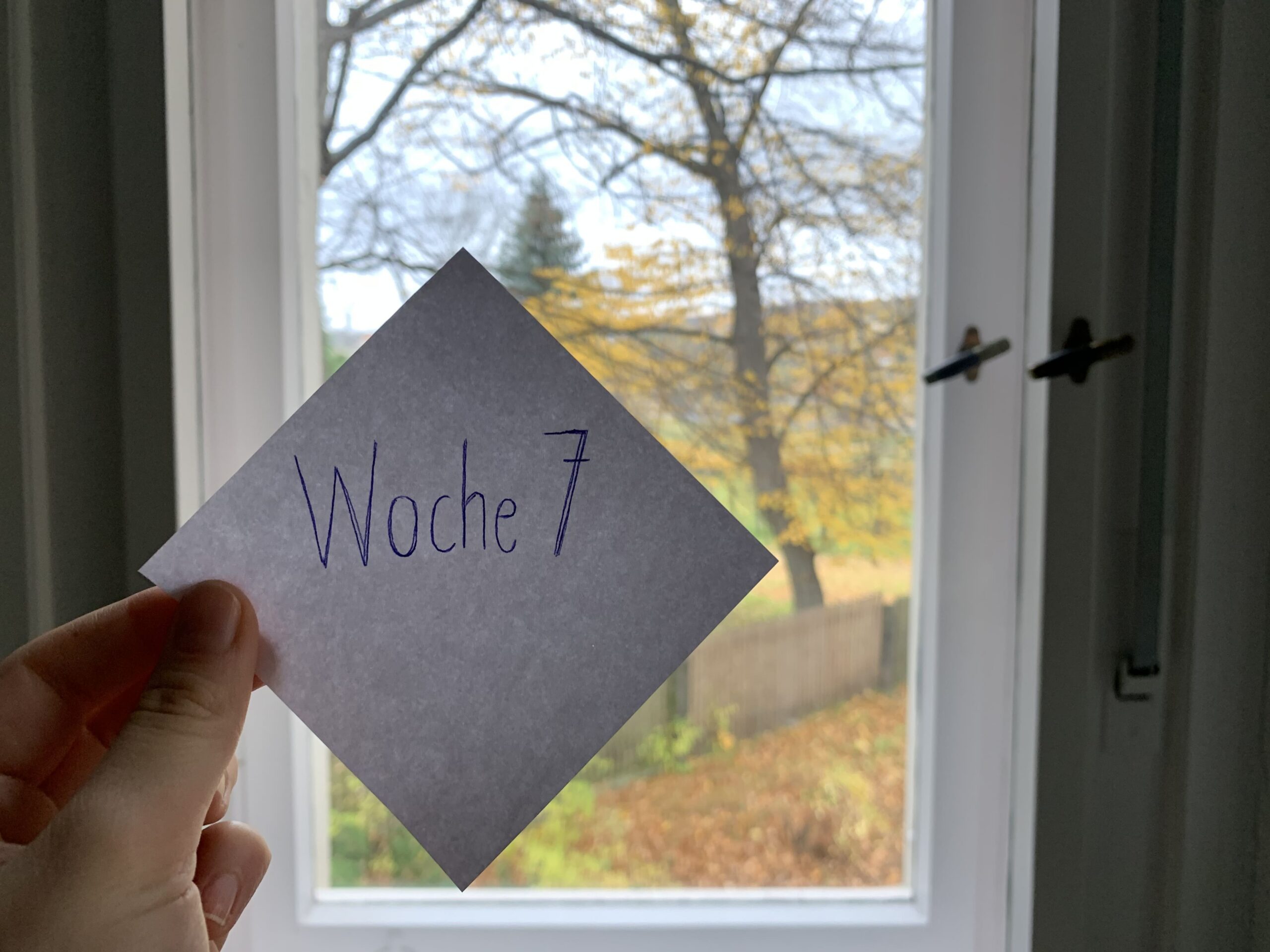 Mein Praktikum bei avalia - Woche 7