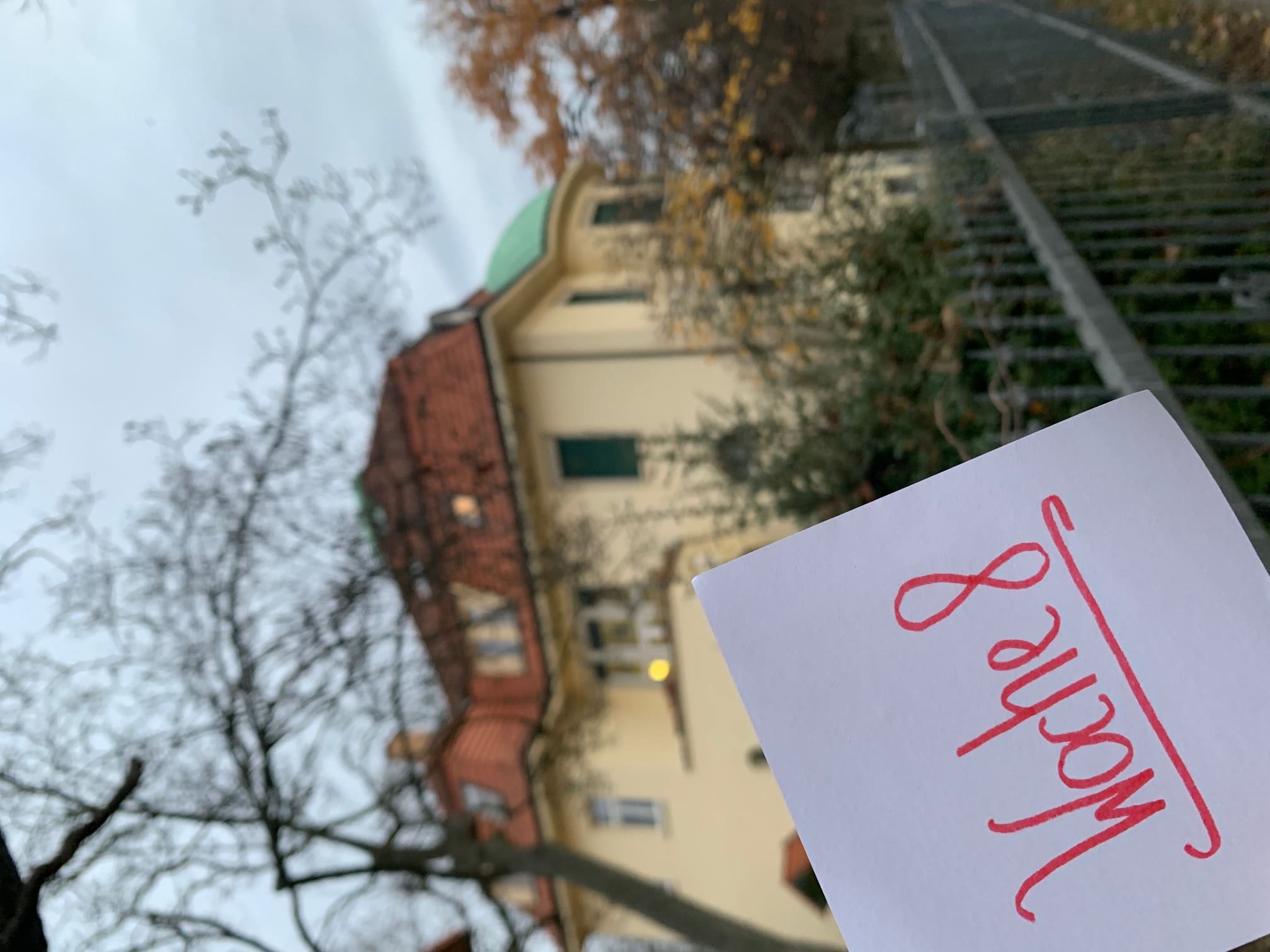 Mein Praktikum bei avalia – Woche 8