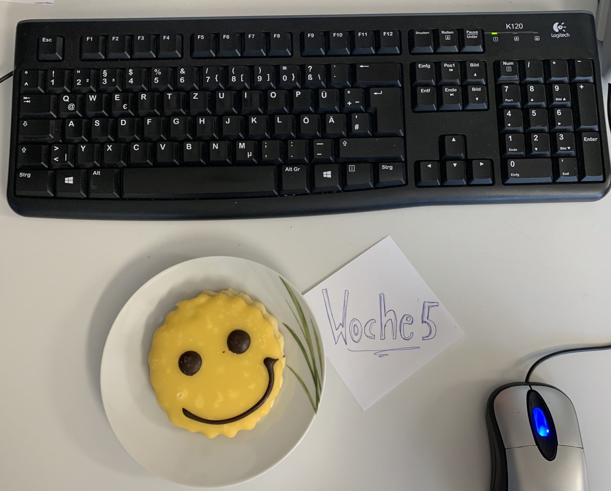 Mein Praktikum bei avalia- Woche 5